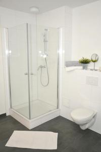 a white bathroom with a shower and a toilet at Rooftop Regensburg in Regensburg