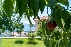 Giardino di Villa Garden Beach