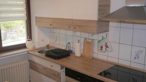 a kitchen with a sink and a counter top at Vulkaneifel-Ferienwohnungen am Felsenpfad in Gerolstein