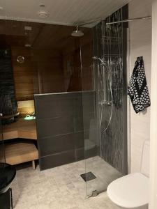 bagno con doccia in vetro e servizi igienici. di Cozy house close to SantaVillage a Rovaniemi