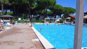 um grupo de pessoas a nadar numa piscina em Luxe Mobilehome with dishwasher and airconditioning included fits 4 adults and 1 child, Ameglia, Ligurie, Cinqueterre, North Italy, Beach, Pool, Glamping em Ameglia