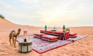 a picnic in the desert with a camel and blankets at Holiday Desert Camp in Merzouga