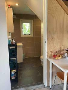 een badkamer met een wastafel en een toilet. bij Mooie schuur appartement in Den Horn 