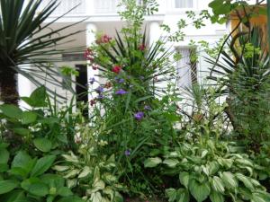 a garden with flowers and plants in front of a house at White Guest House in Batumi