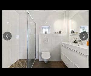 a white bathroom with a toilet and a shower at Moderne funkis med fantastisk havutsikt in Asker