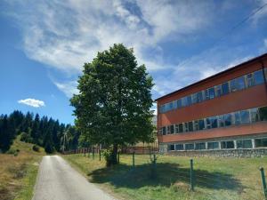 a tree in front of a building next to a road at Apartment Šula in Pljevlja