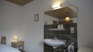ein Bad mit einem Waschbecken und einem Spiegel in der Unterkunft Fährhaus Hotel in Waldshut-Tiengen