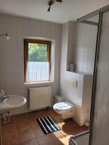 een badkamer met een toilet, een wastafel en een raam bij Einkehr zur Rennstrecke in Hohnstein