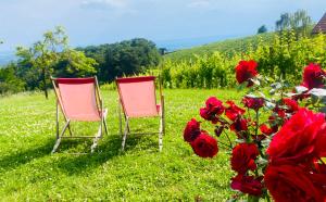 zwei Stühle im Gras neben roten Rosen in der Unterkunft Weingut Radl in Klöch