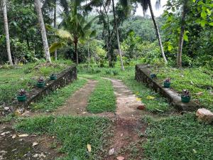 a dirt road in a forest with potted plants at Vegan Nature Resort in Beruwala