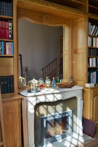 Brailly-CornehotteにあるChâteau Florian XVIII siècle 700 m2, parc 10 hectaresの鏡付きのリビングルームの暖炉
