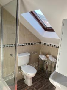a bathroom with a toilet and a skylight at Studio Flat in Hatch End