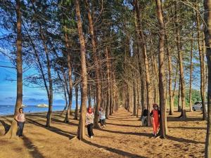 a group of people walking down a tree lined path at Alsia Homestay in Kampong Beris Meraga