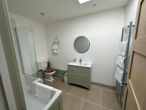 a bathroom with a toilet and a sink and a mirror at The Penthouse at Purfleet in King's Lynn