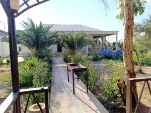 einen Garten mit einem Haus mit Palmen im Hintergrund in der Unterkunft Gilavar 3 in Baku