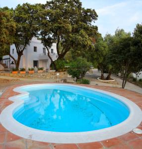 una piscina en un patio con árboles en el fondo en Chalet Los 20 Pilares en Ubrique