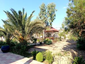 a garden with a palm tree and a gazebo at Gilavar 3 in Baku