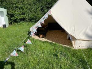 a dog laying in a tent in a field at Glamping in style Bell tent in Ifield