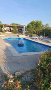 a swimming pool in a yard with a house at Casa De La Familia - Appartement in Baza