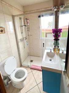uma casa de banho com um WC, um lavatório e um chuveiro em Apartment with Huge Deck Nestled in Marvelous Gardens - Nidos em La Orotava