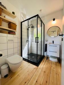 a bathroom with a glass shower and a toilet at Namelis Strazdas in Molėtai