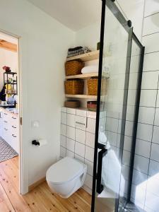 a bathroom with a toilet and a shower at Namelis Strazdas in Molėtai