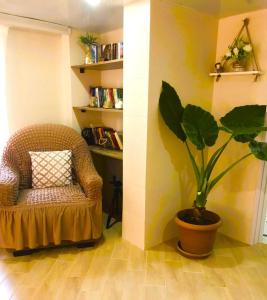 a chair and a potted plant in a room at Apartment 19 in Kutaisi