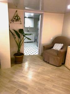 a living room with a potted plant on a floor at Apartment 19 in Kutaisi