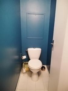 een badkamer met een toilet en een blauwe muur bij Joli cœur de ville Dax in Dax