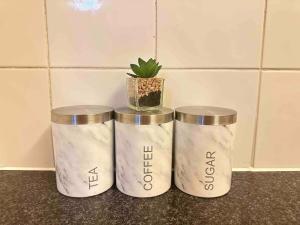 three containers sitting on a counter with a potted plant at Comfy City Stay in Colchester
