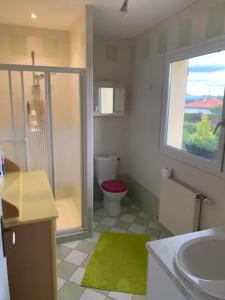 VILLA des CHEMINS في Cussac-sur-Loire: حمام مع مرحاض ومغسلة ونافذة