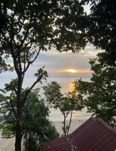 ジュム島にあるジャングル ヒル ビーチ バンガローの夕日の木々を通して海の景色