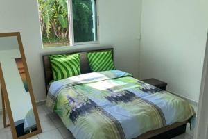 Un dormitorio con una cama con sábanas verdes y una ventana en Bas de villa Agréable - Ste-Rose, en Sainte-Rose