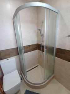 een douchecabine in een badkamer met een toilet bij Spa Apartmán Kováčová in Kováčová