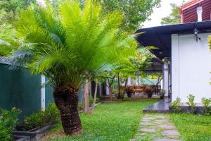 una palmera en el patio de una casa en National Holiday Resort, en Mahiyangana
