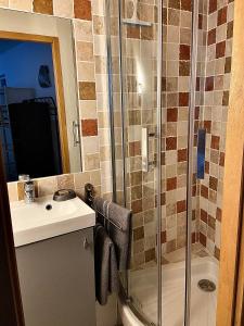 Kúpeľňa v ubytovaní Grand et joli studio tout équipé avec jardin et Jacuzzi