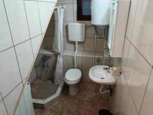 a small bathroom with a toilet and a sink at Apartmani Todorovic in Vinci