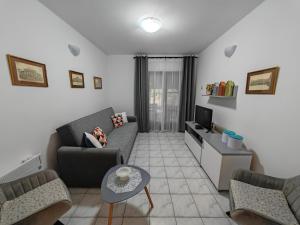 a living room with a couch and a tv at Apartmani Todorovic in Vinci