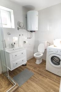 W łazience znajduje się toaleta, umywalka i pralka. w obiekcie Kuća za odmor Bosut w mieście Vinkovci