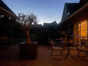 a potted tree sitting on a patio with a table and chairs at Landhotel Broda in Neubrandenburg