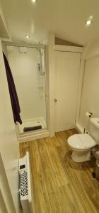 a bathroom with a toilet and a shower in it at The Wendy house in Parkend