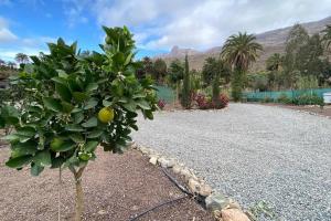 Gallery image of 2 Bedroom Country House Near Fataga & Maspalomas in Artedara