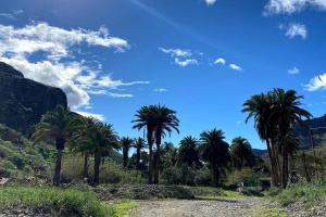 Gallery image of 2 Bedroom Country House Near Fataga & Maspalomas in Artedara