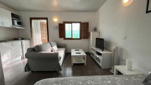 uma sala de estar com um sofá e uma televisão em Cosy Country Studio near Maspalomas and Fataga em Artedara