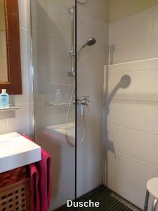 a shower with a glass door in a bathroom at Alte Schule Mankmuß in Karstädt +10 photos
