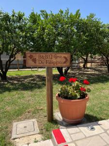 Vonkajšia záhrada v ubytovaní B & B Vigna Di Filippo - Paestum