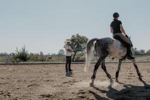 Uma mulher monta um cavalo num campo. em Georgshof em Podersdorf am See