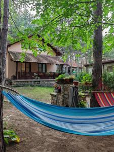 a blue hammock in front of a house at Apartmani Todorovic in Vinci