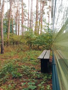 eine Bank, die vor einem Zelt im Wald sitzt in der Unterkunft Odpocznij w Lesie 