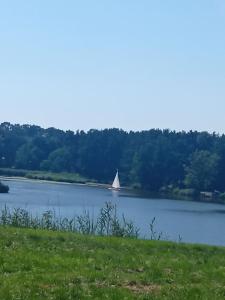 a sail boat on a lake with trees in the background at Suchedniów mieszkanie in Suchedniów